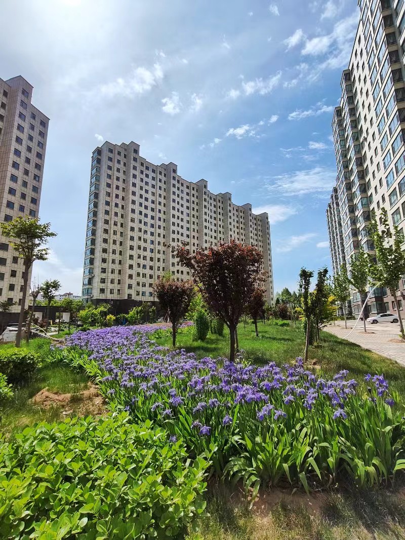 1716608782503896.jpg 院内环境.jpg